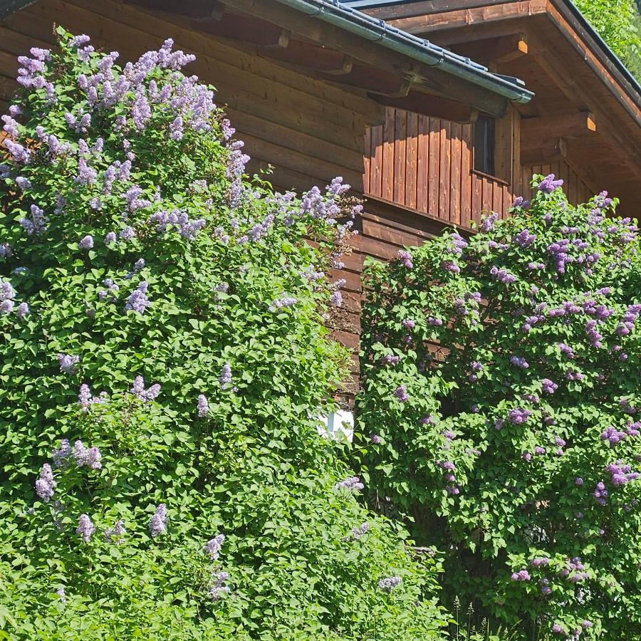 Haus Meikl Mühlbach am Hochkönig Buitenkant foto