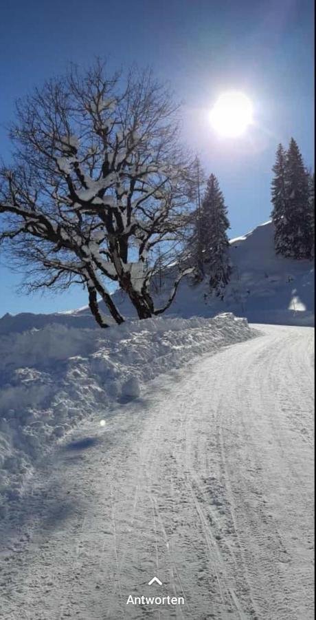 Haus Meikl Mühlbach am Hochkönig Buitenkant foto