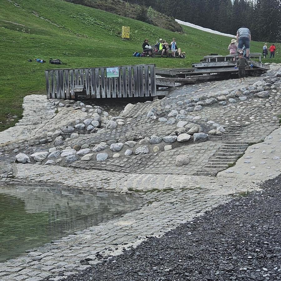 Haus Meikl Mühlbach am Hochkönig Buitenkant foto